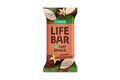 Organic Lifebar Oat Snack Cashew Chocolate Chip 40g